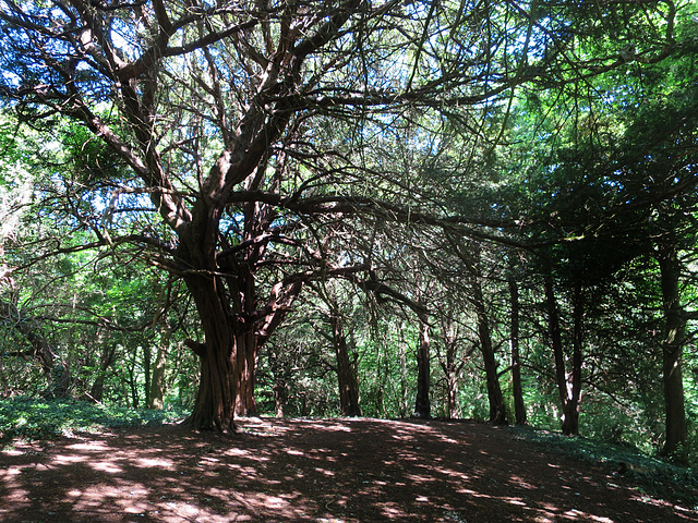 Porthkerry Park