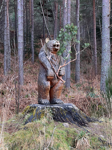 If you go down to the woods today...