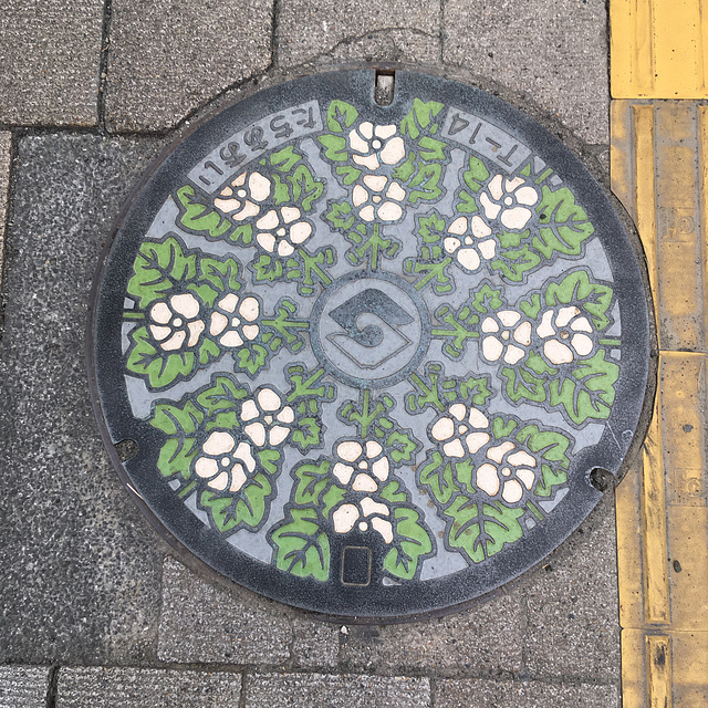 Utility cover, Shizuoka