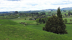 South Waikato Landscape.