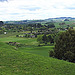 South Waikato Landscape.