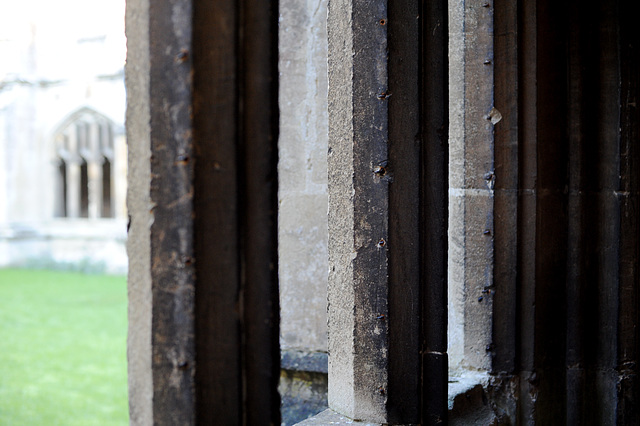 Cloisters, View Beyond