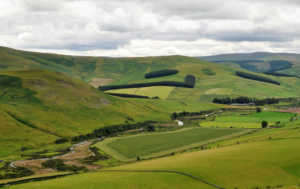 Scotland St. Cuthbert's Way (PiP)