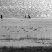 Cyclists on the beach, Thanksgiving Day