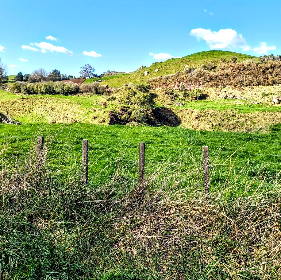 Beyond the Fence