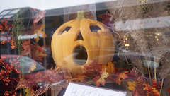 The Flower Shop The Flower Shop