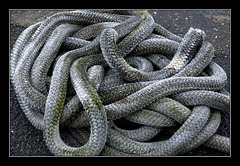 Matières, formes, couleurs XX