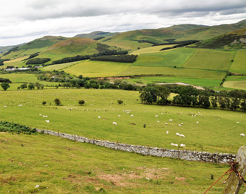 Scotland St. Cuthbert's Way