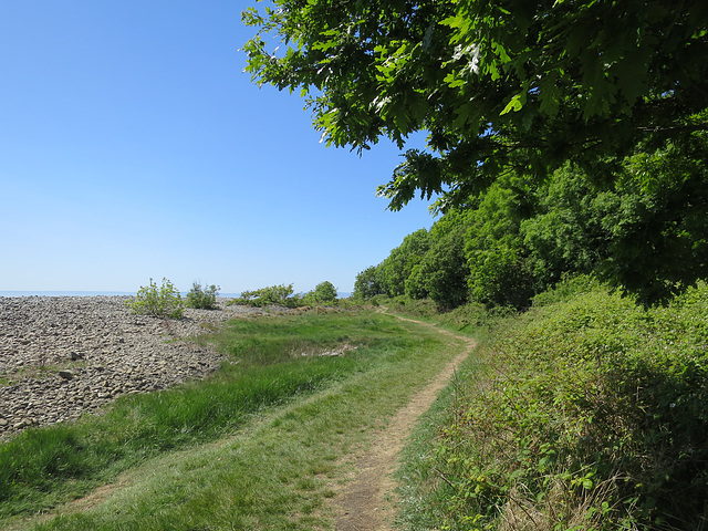 Porthkerry Park