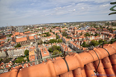 Gdańsk (3)