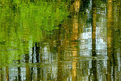 Homage to Claude Monet