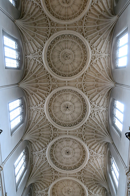 IMG 3205-001-Fan Vaults