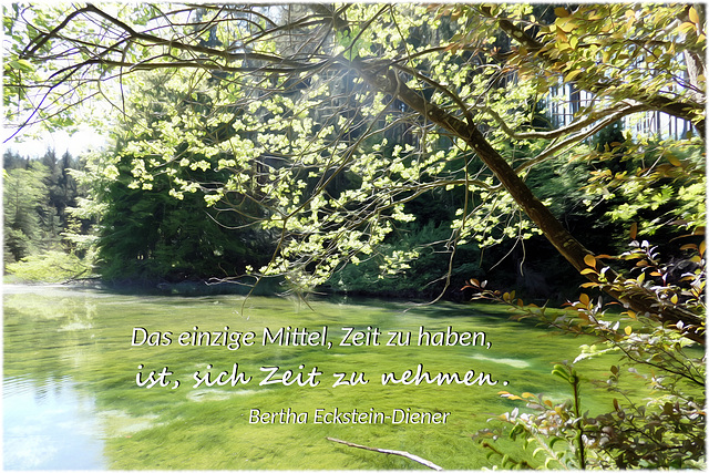 Eisweiher bei Rieder