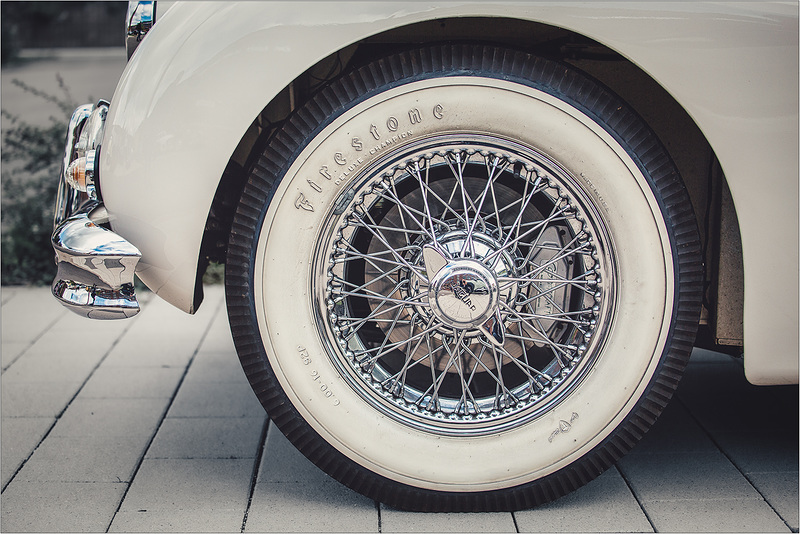 Jaguar 1 Z5A8756 II