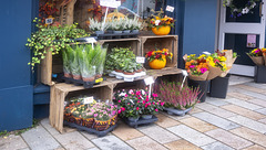 The Flower Shop