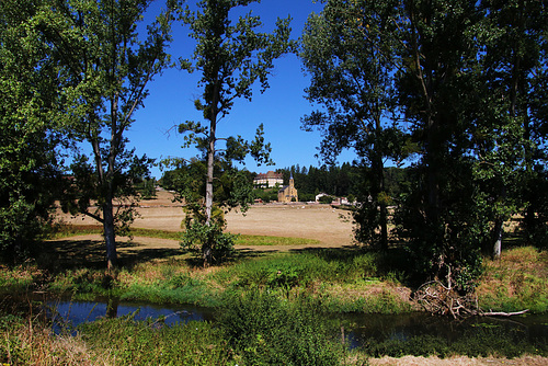 Un paysage apaisant .