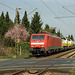 BÖ0000512
