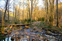 Bridge over clear water...