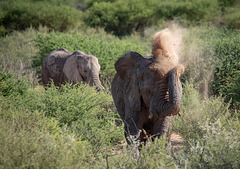 Namibia