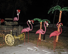 Dec. 24, 2016 Yard Display, Littleton, CO