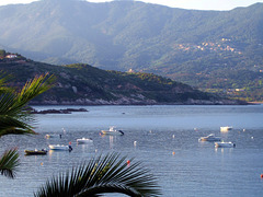 Tiuccia - Corse 2014