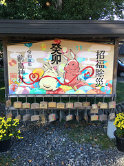 Signage, Fujieda