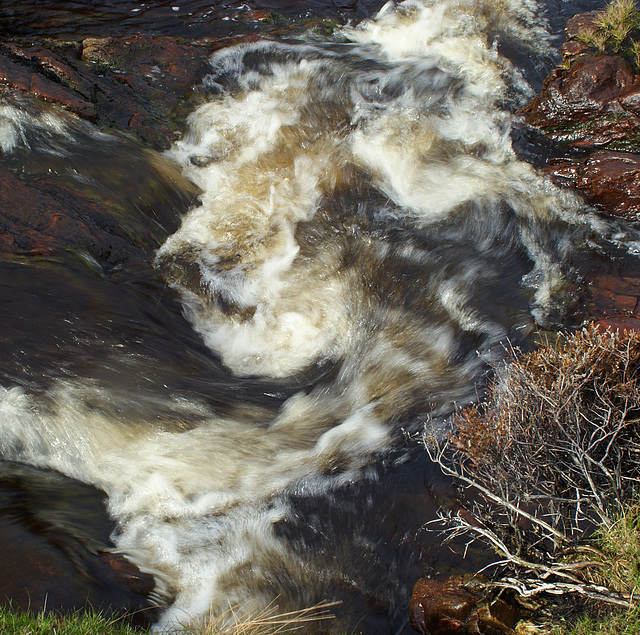 Shetland