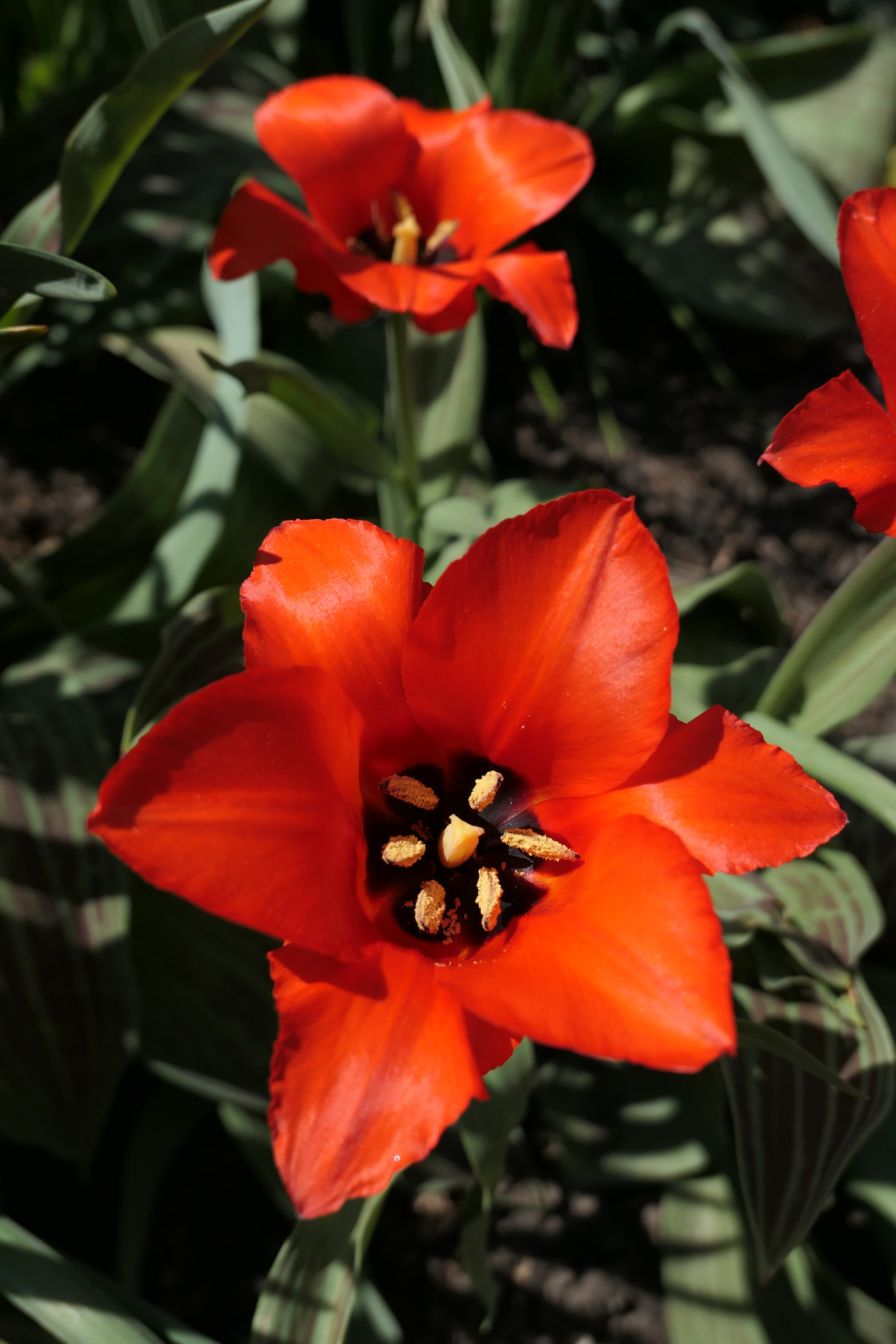 im Klosterberggarten
