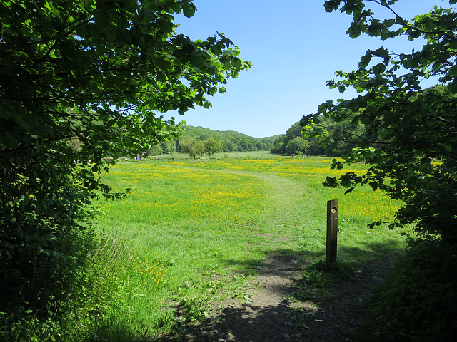 Porthkerry Park