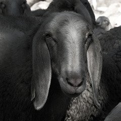 Come On Eileen ♥ | :-)