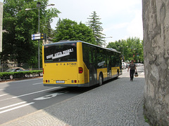 DSCN1916 Nigg Bus (Feldkirch, Austria) FK NIGG 1