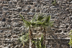 Stonewalling – Gibralfaro Castle, Málaga, Andalucía, Spain Stonewalling – Gibralfaro Castle, Málaga, Andalucía, Spain
