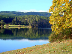 Lake Whakamaru