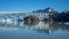 Glaciar Grey