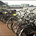 Amsterdam - capitale mondiale delle biciclette - (539)