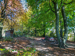 Auf dem Grillplatz in Rafz