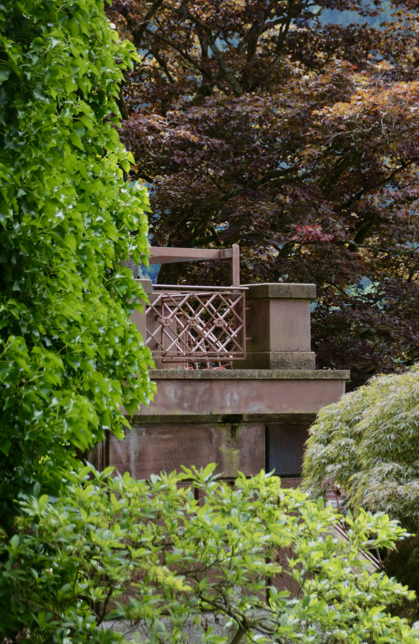 A Fence for Friday