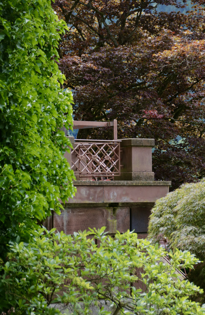 A Fence for Friday