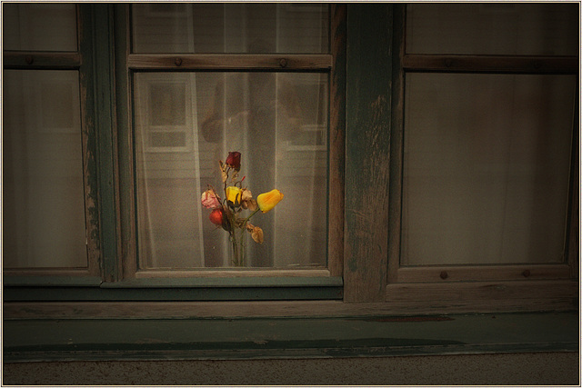 Flowers in a hospital window