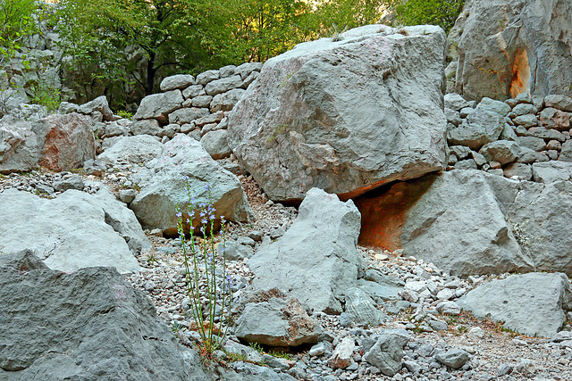 Nationalpark Paklenica - Erste Eindrücke