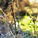 Touched By The Sun