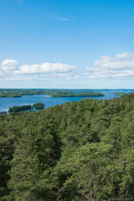 auf dem Pyynikin Näkötorni (© Buelipix)(© Buelipix)