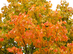 DSCN1274