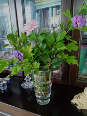 Today is raining Today is raining