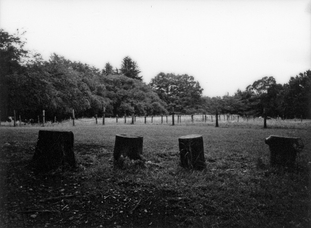 Log stools