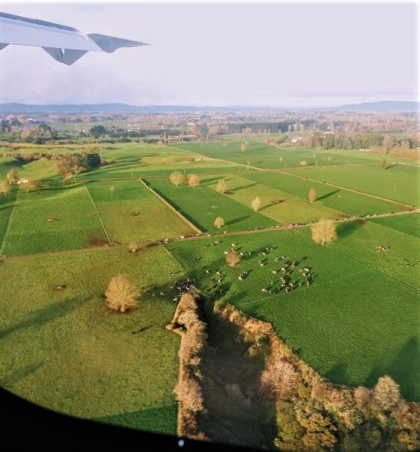 Nearing Hamilton Airport.