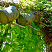 Three Watering Cans