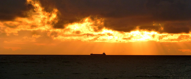 Silhouette au couchant.