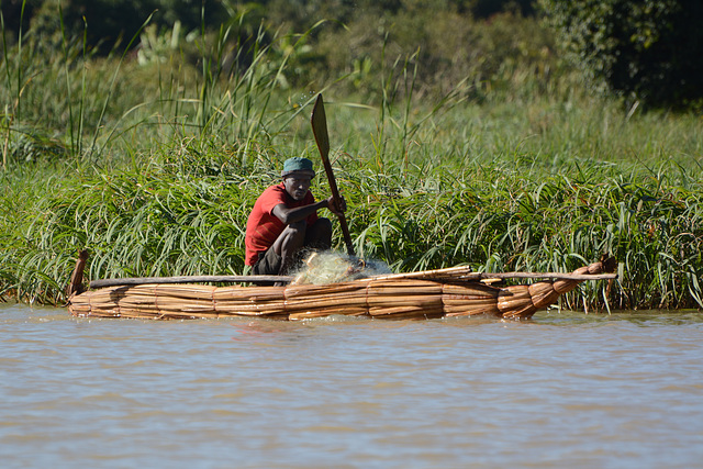 Ethiopia, Fisherman Kayaker on the Lake of Tana