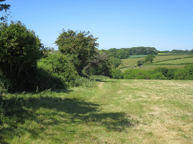 Countryside walk